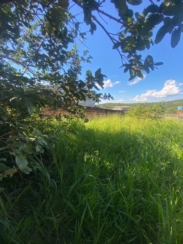 a2e2ee0a-38c4-42f7-b75d-da8c36002896