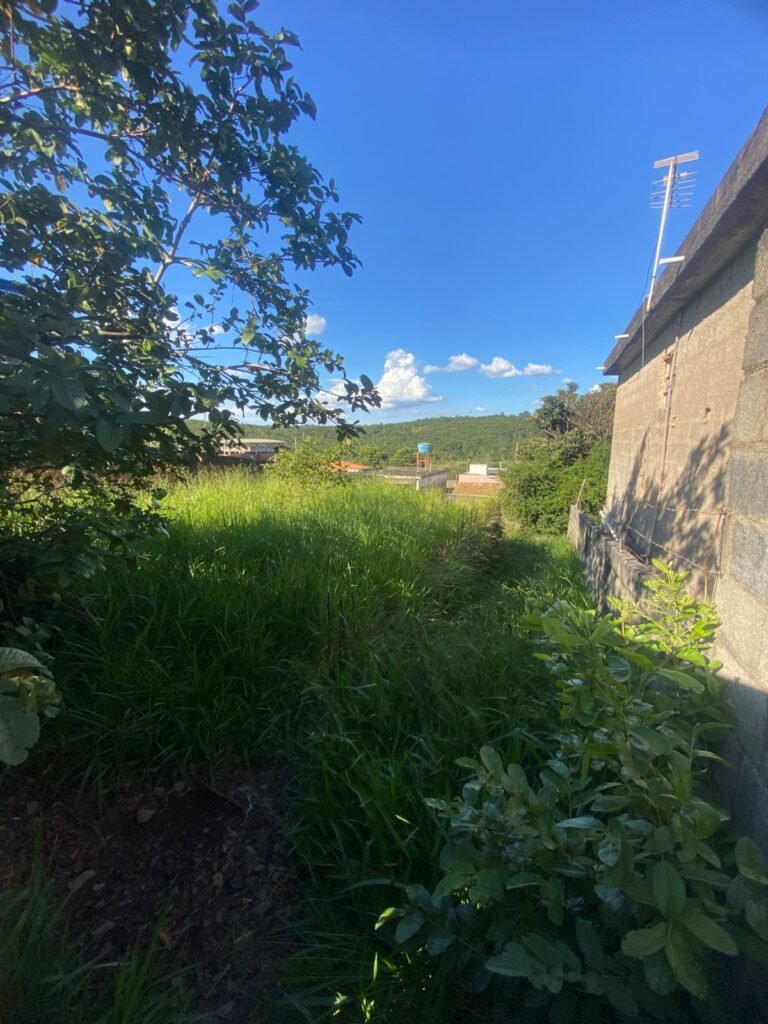 b28e2ed4-d748-43bd-b831-b44e69907038