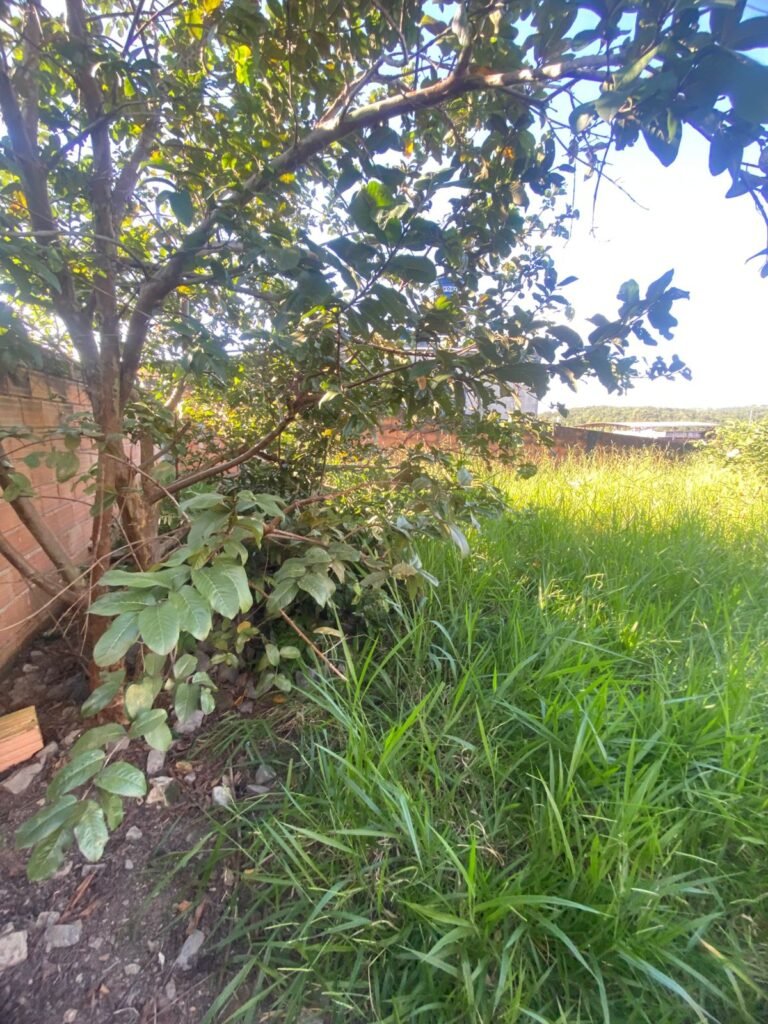 f05d2af0-ca96-4e69-a176-88e78d583ca2